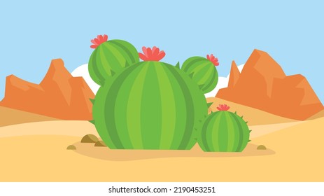 large round cactus with pink flower