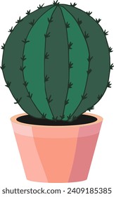 Large round cactus in a pot. Spiny cacti. Plants for the home.