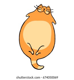 A large round cat purrs. Beautiful color cartoon illustration. Cartoon label