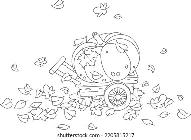 Large round pumpkin on an old wood wheelbarrow among fallen autumn leaves in a vegetable garden, black and white outline vector cartoon for a coloring book page