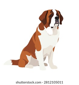 Large Saint Bernard Dog Vector Illustration Sitting Isolated on White Background for Pet Concept