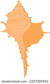 icono de vector de ilustración de la concha marina grande