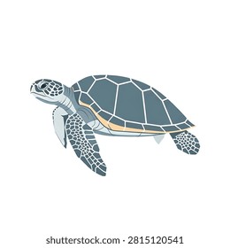 Large sea turtle with shell and flippers