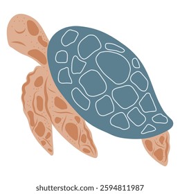 Large sea turtle vector illustration, stylized turtle, hand drawn turtle illustration