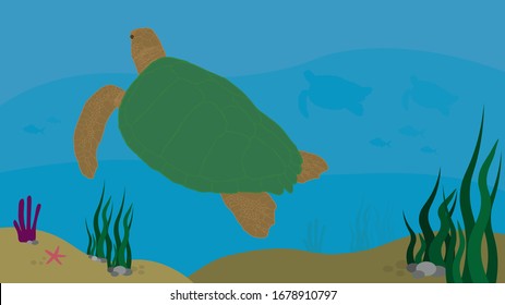 Large sea turtles under the sea. Reptiles. Wild animals of the seas and oceans. Vector / illustration  