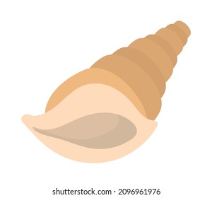 icono de una gran concha en el fondo blanco