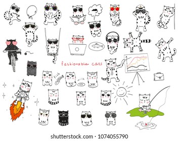 A large selection of different funny kittens.