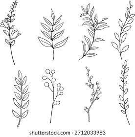 Grande conjunto de 14 elementos botânicos pretos e brancos desenhados à mão, incluindo várias folhas, caules de flores e ramos de baga. Simples, elegante e versátil para a criação de padrões, papelaria de casamento.