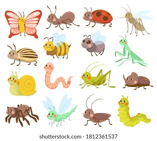 Large set of 16 assorted cute cartoon insects or bugs isolated on white for design elements, colored vector illustration