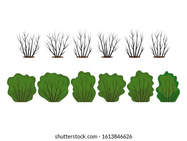 A large set of abstract stylistic bushes with green leaves and bare branches. different seasons in the garden. flat vector illustration isolated on white background