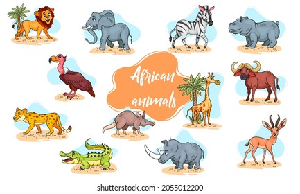 Un gran conjunto de animales africanos. Personajes animales divertidos al estilo de las caricaturas. Ilustración infantil. Colección de vectores.
