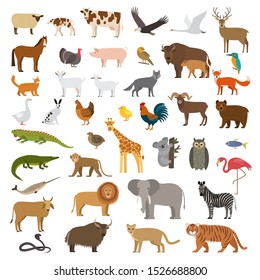 A large set of African, forest and animals and birds from the farm with the cubs. Bear, cow, elephant, lion. flat vector illustration isolated on white background