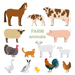 A Large Set Of Animals And Birds With A Farm In A Cartoon Style. Flat Vector Illustration Isolated On White Background
