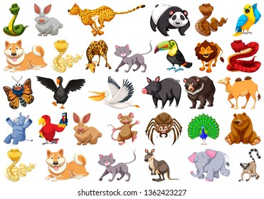 large set of animals illustration