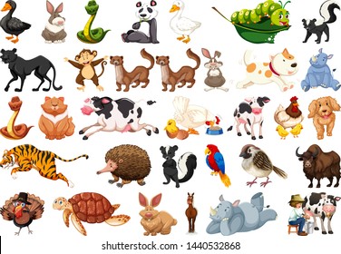Large set of animals illustration