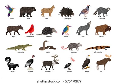 Large Set Of Animals Of North America