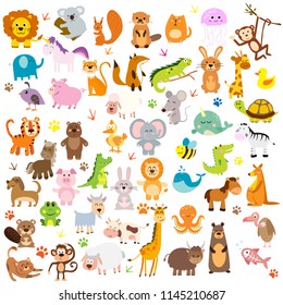 large set of animals vector
