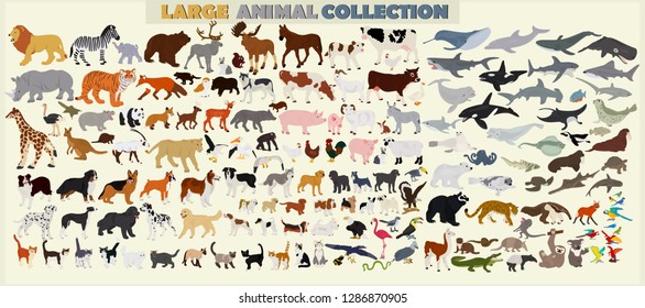 A large set of animals of the world on a light background.