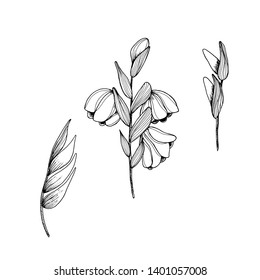 Large set with autumn flowers and leaves. Buds and leaves in different angles. Hand draws ink. Black and white set with wildflowers on white isolated background. For textile, design, scrapbooking