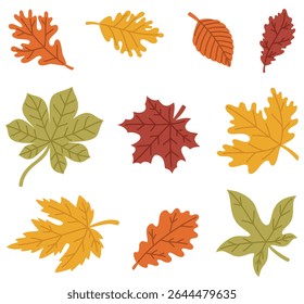 Large set of autumn leaves of different colors. Flat vector illustration.