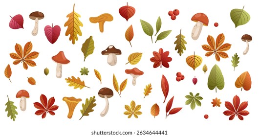 a large set of autumn leaves and mushrooms, berries.Stylized autumn bright elements for the design of banners, Greeting cards of Autumn.