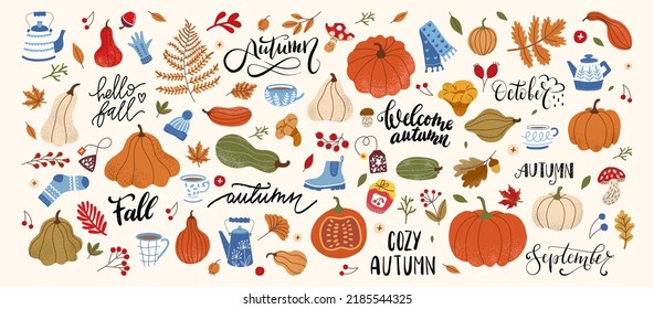 A large set with autumn oral leaves, pumpkin, sweater, tea and gloves. Leaf Fall, Mug, Pumpkin, Squash and Lettering Fall