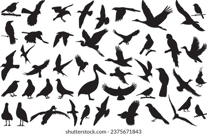 large set of bird silhouettes, vector sketch