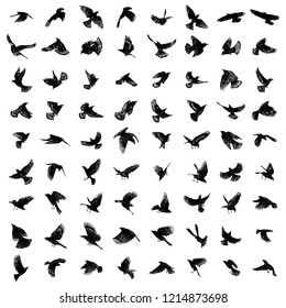 Large set of birds flock. Flying crows birds. Vector.