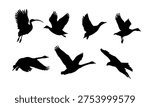 Large set of black flying bird and swan vector silhouettes, migration flock shapes collection isolated on white background, simple vector illustration for nature and wildlife design.