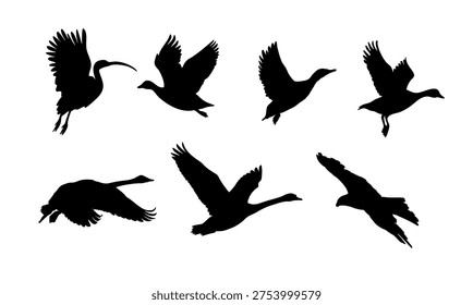Large set of black flying bird and swan vector silhouettes, migration flock shapes collection isolated on white background, simple vector illustration for nature and wildlife design.