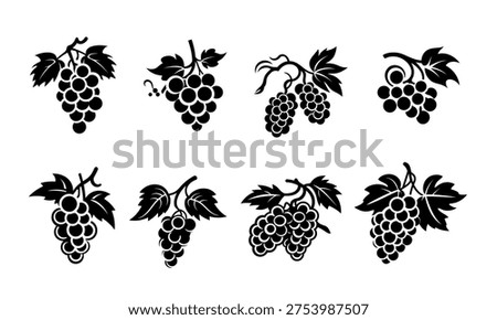 Large set of black grapes fruit vector silhouettes, bunch of fresh grapes with leaves isolated on white background, simple vector illustration for winery and organic food design.