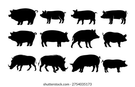 Large set of black pig and swine vector silhouettes, farm animal livestock shapes collection isolated on white background, simple vector illustration for agriculture and pork products.