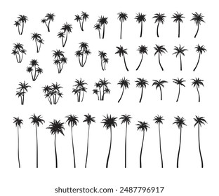Large set of black silhouettes of palm trees. Groups of palm trees. Vector illustration. 
