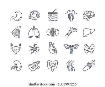Large set of black and white line drawn icons of assorted human organs for vector design elements