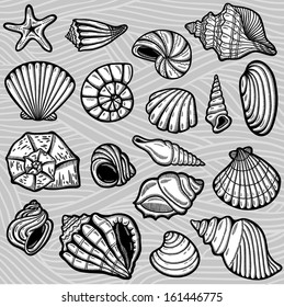 Large set of black&white graphic sea shells. Isolated objects on white background. Retro style.
