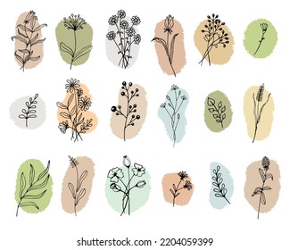 Large set of botanical floral elements. Branches, leaves, herbs, wild plants, flowers. Garden, meadow, field collection of leaves, leaves, branches. Vector illustration of flowering on color spots