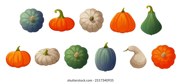 Un Grande conjunto de calabazas brillantes y jugosas de diferentes Formas. Las calabazas son de color verde, naranja, beige y azul. Calabaza mostrada desde arriba, desde el lado, plana, en volumen