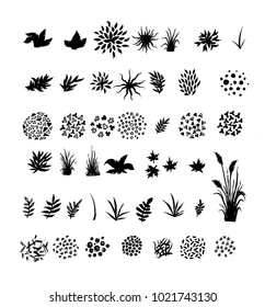 Large set of brushes for drawing grass, foliage, etc. Objects are isolated on a white background.