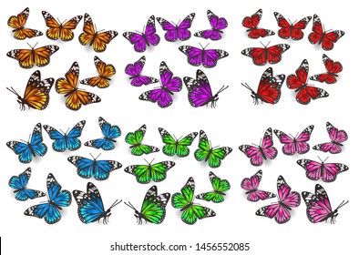 A large set of butterflies in different angles, different colors: green, blue, orange, red, pink, purple. Design elements. Vector graphics.