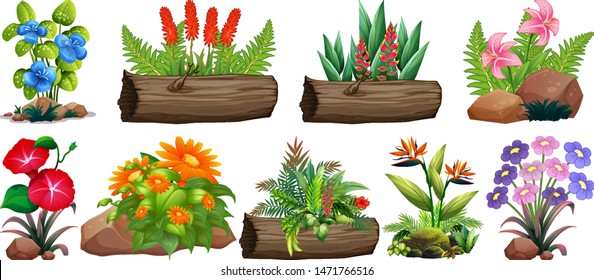 Large set of colorful flowers on rocks and wood illustration