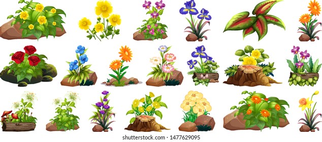 Large set of colorful flowers on rocks and wood illustration