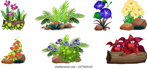 Large set of colorful flowers on rocks and wood illustration
