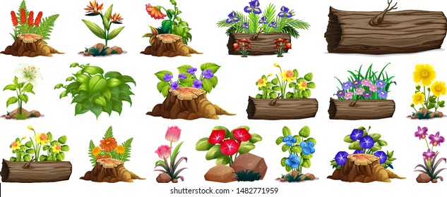 Large set of colorful flowers on rocks and wood illustration