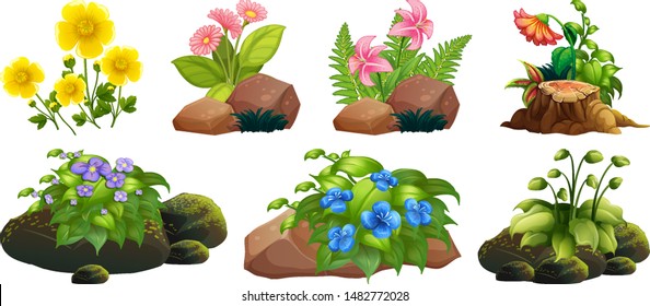 Large set of colorful flowers on rocks and wood illustration