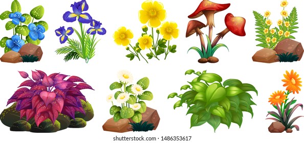 Large set of colorful flowers on rocks and wood illustration