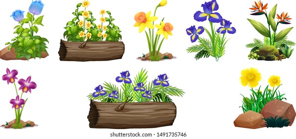 Large set of colorful flowers on rocks and wood illustration