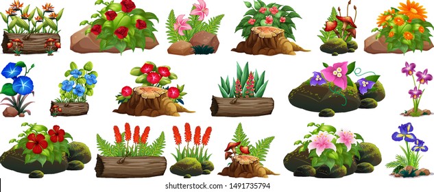 Large set of colorful flowers on rocks and wood illustration