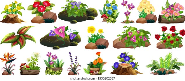 Large set of colorful flowers on rocks and wood illustration