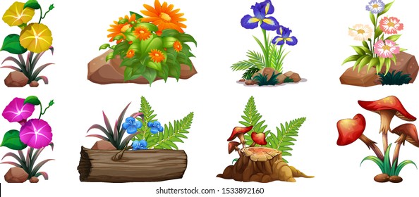 Large set of colorful flowers on rocks and wood illustration