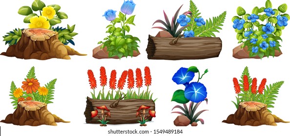 Large set of colorful flowers on rocks and wood illustration